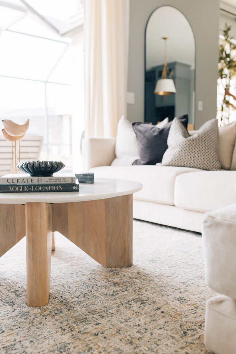 bradenton-living-room-refresh-rdm-interiors-7