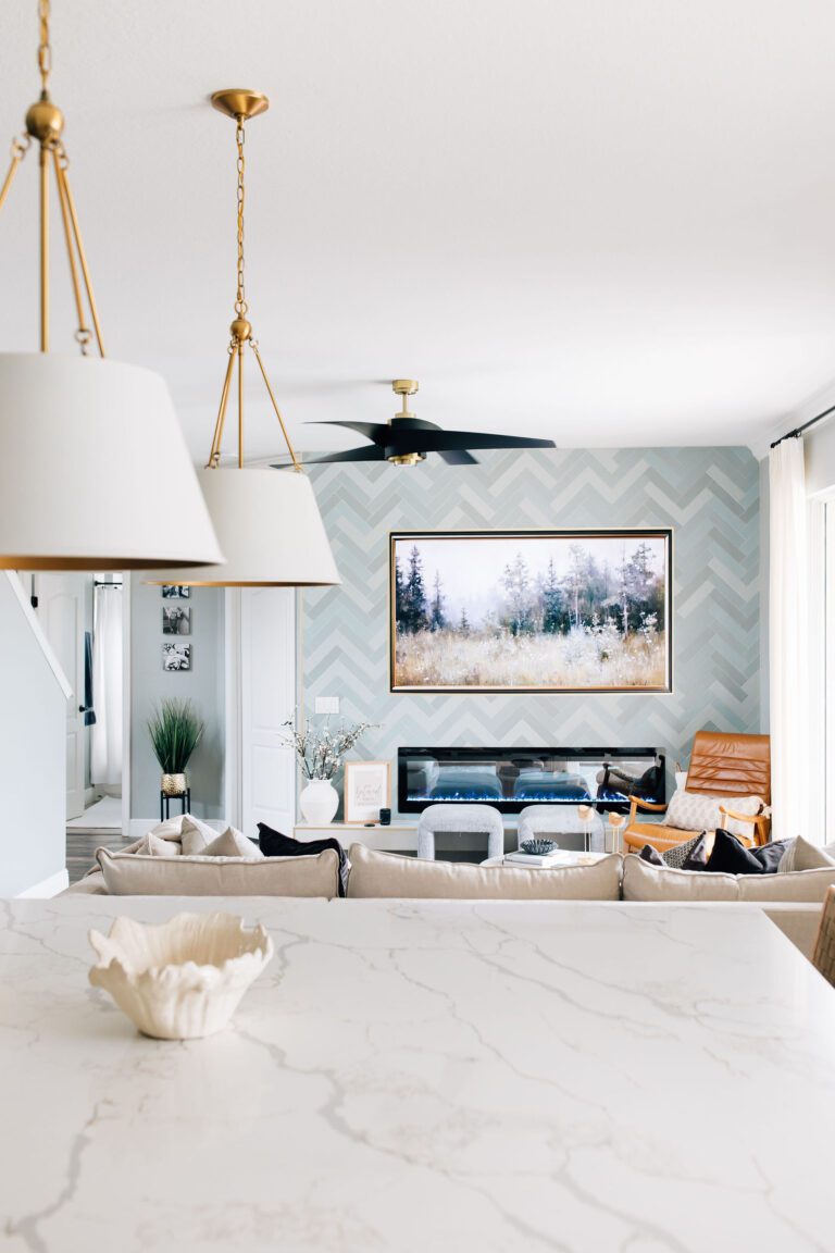bradenton-living-room-refresh-rdm-interiors-8